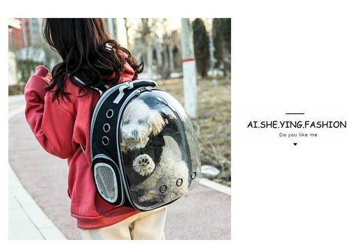 便攜透明寵物背包 湯河店太空貓包艙，出行新選擇